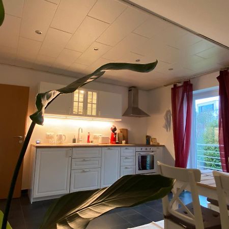 Moderne Ferienwohnung Seeblick Freudenberg  Exteriör bild